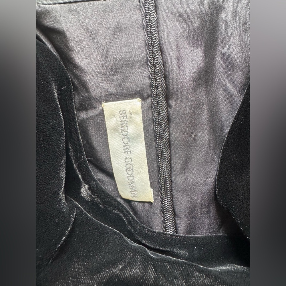 Bergdorf Goodman Velvet Dress - Picture 7 of 11
